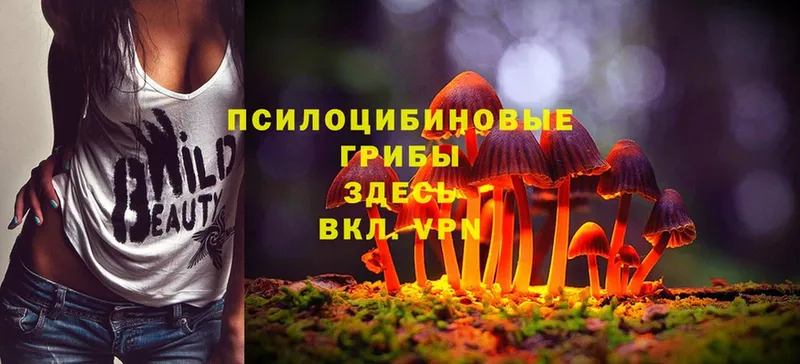 Галлюциногенные грибы Magic Shrooms  МЕГА зеркало  Вольск 